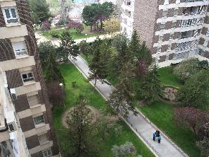 Vistas